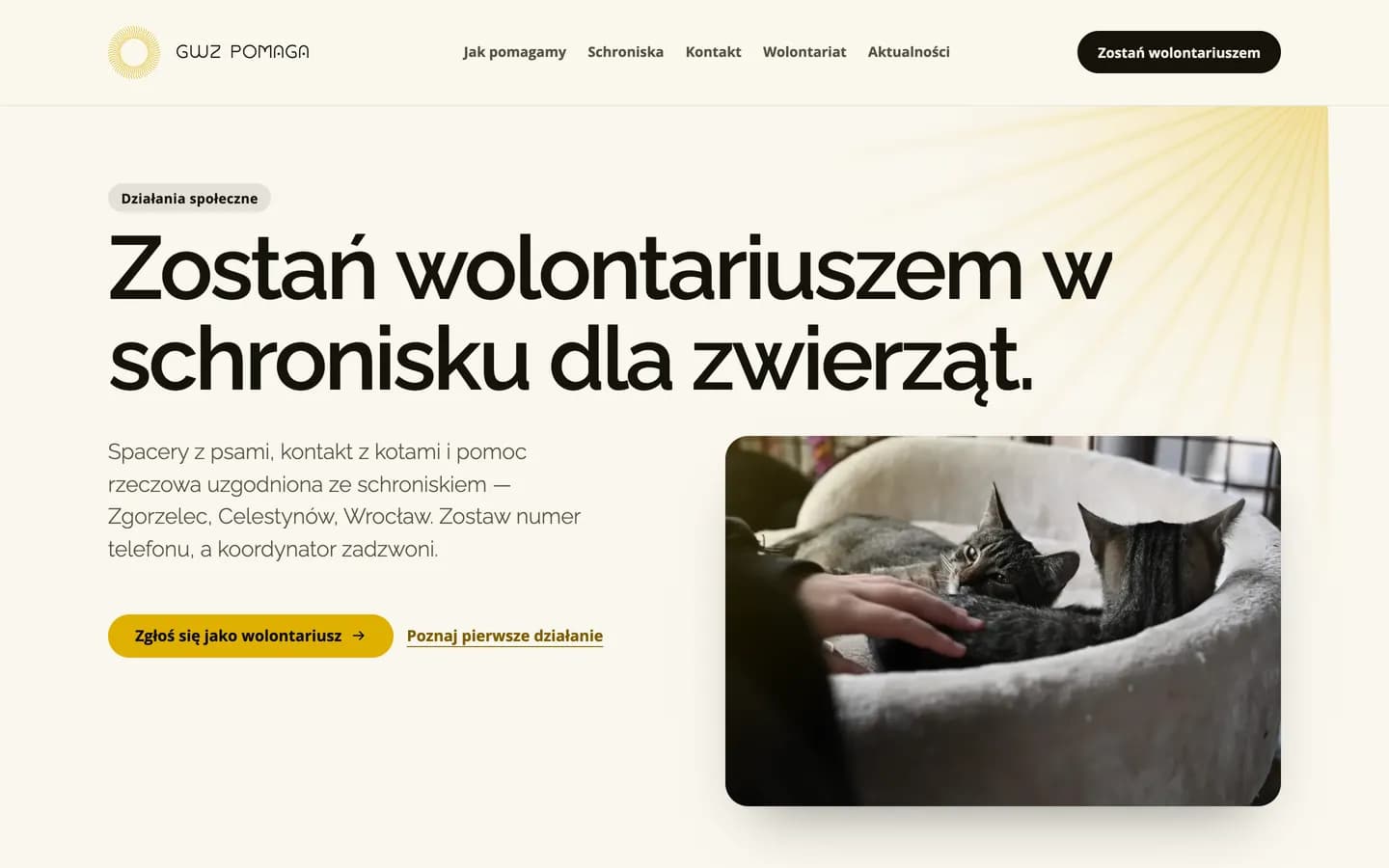 Zrzut strony GWZ Pomaga: nagłówek „Zostań wolontariuszem w schronisku dla zwierząt” i zdjęcie kotów w legowisku